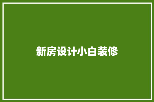 新房设计小白装修