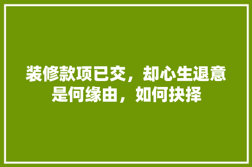 装修款项已交，却心生退意是何缘由，如何抉择