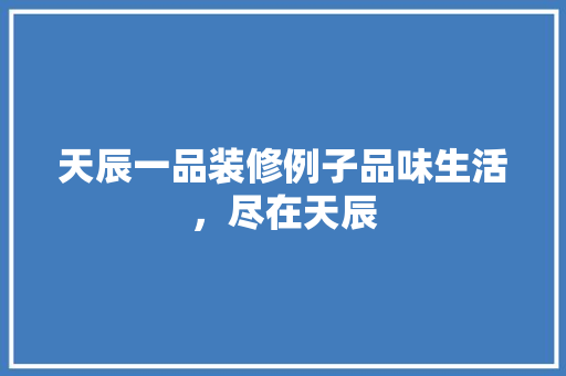 天辰一品装修例子品味生活，尽在天辰