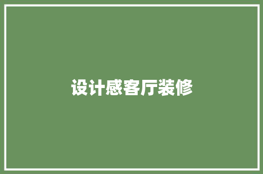 设计感客厅装修