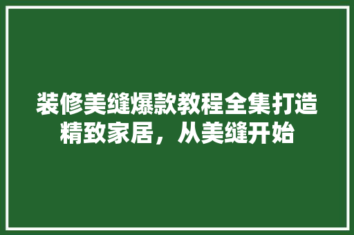 装修美缝爆款教程全集打造精致家居，从美缝开始