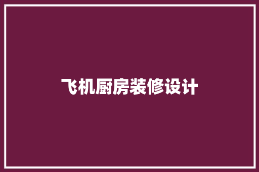 飞机厨房装修设计