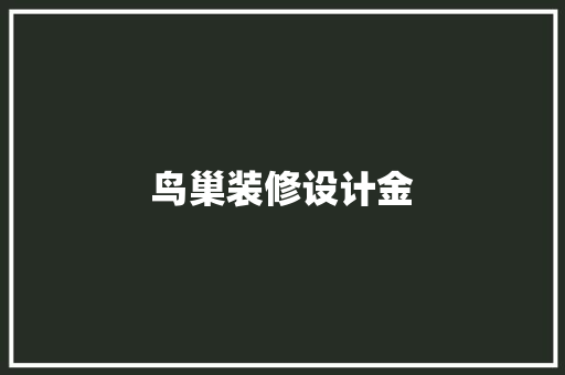 鸟巢装修设计金