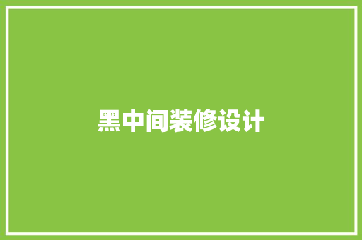 黑中间装修设计