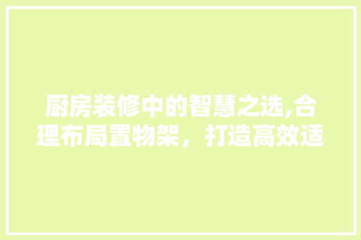厨房装修中的智慧之选,合理布局置物架，打造高效适用空间