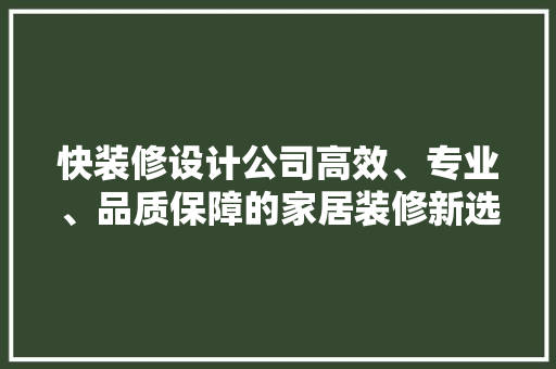 快装修设计公司高效、专业、品质保障的家居装修新选择